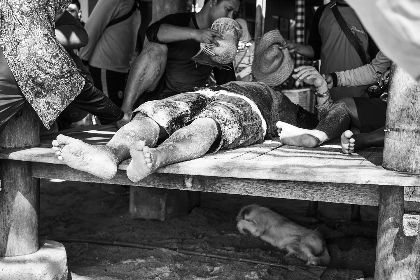 _DSC8296  by Fran Miller.jpg