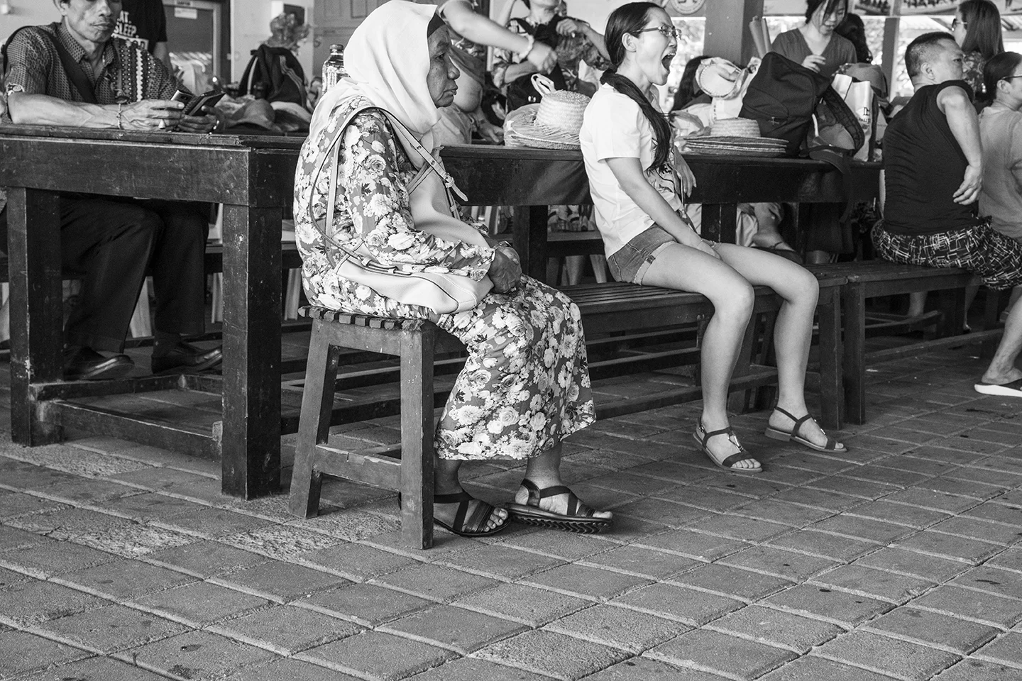 _DSC8447 by Fran Miller.jpg