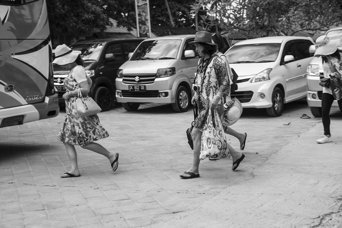 _DSC8570 by Fran Miller.jpg