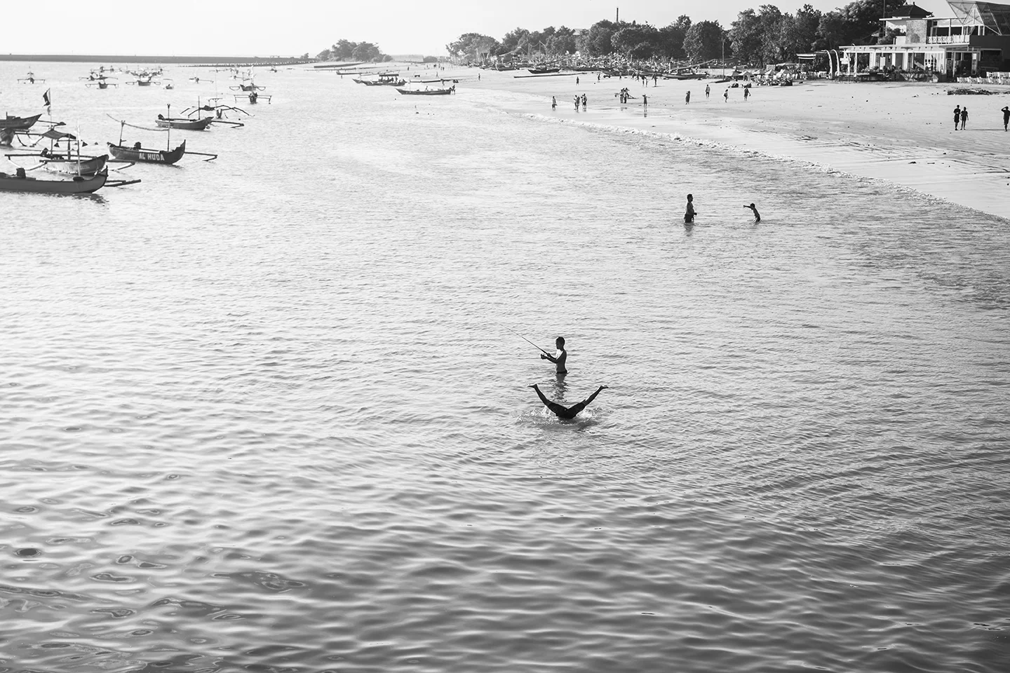 _DSC8786 by Fran Miller.jpg