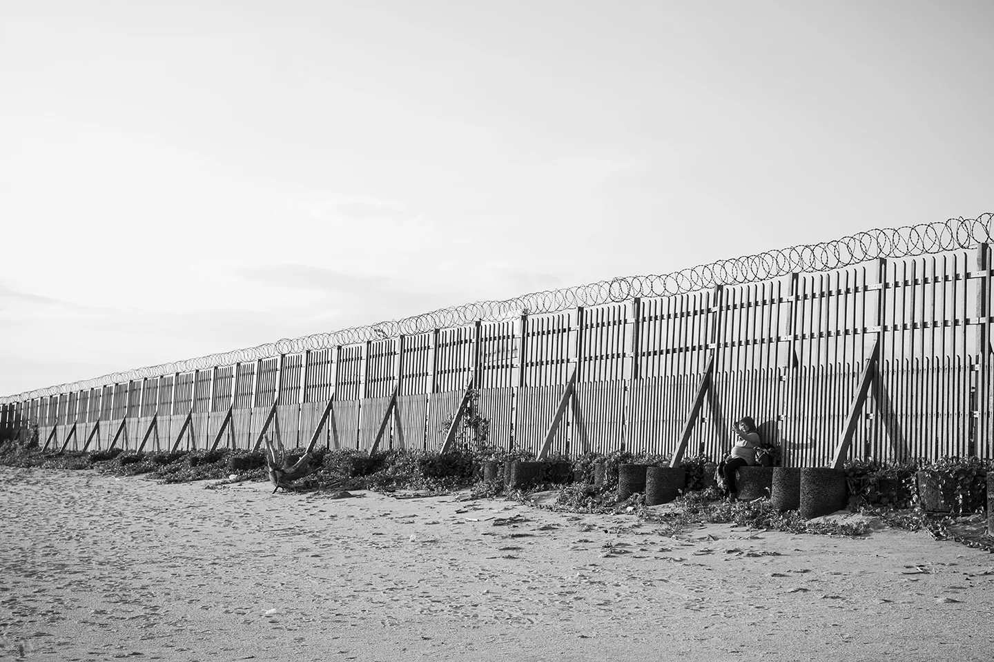 _DSC8934 by Fran Miller.jpg