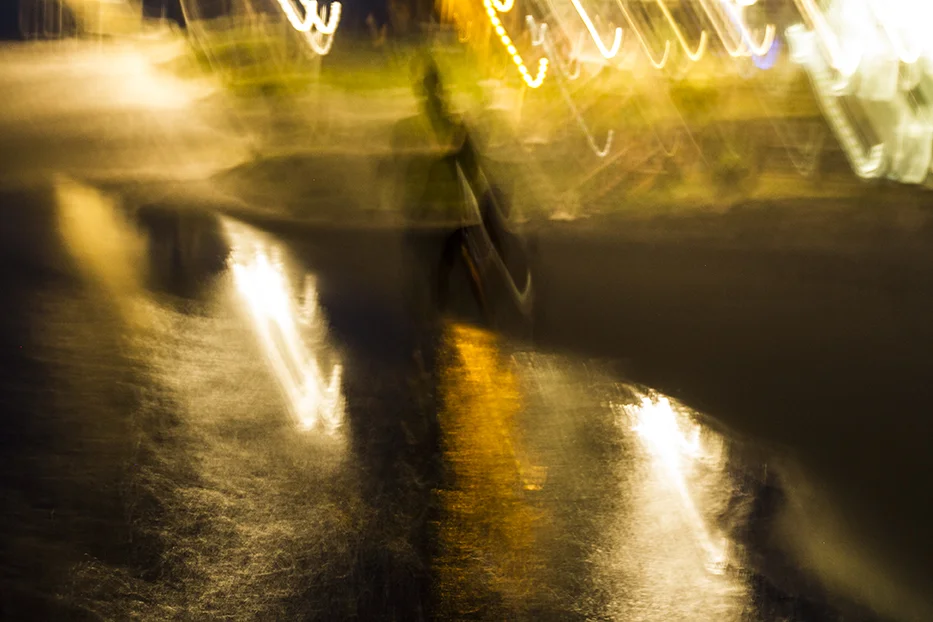 The Nightwalkers by Fran Miller 14.jpg