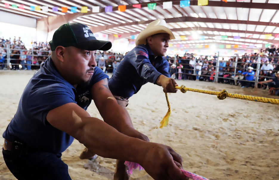  Fighting Spirit - Champion Road TV Special : Películas