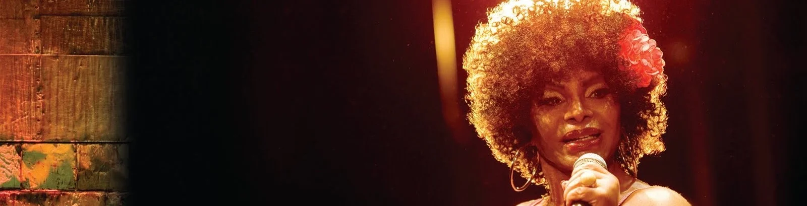 ELZA(Izabel Jaguaribe and Ernesto Baldan, Brazil, 2009, 72 min. In Portuguese with English subtitles)"A remarkable singer and show woman, Soares was known for uniting traditional samba sounds with modern touches that lent her songs a multi-gene…