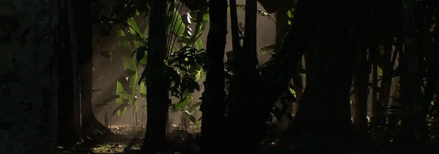 TEMPLO VERDE (Luiz Eduardo Lerina, Brazil, 2019, 58 min. In Portuguese with English subtitles) Templo Verde ( Green Temple ) has at its center a very special garden where thousands of plant species are sheltered, some endangered. Featuring the participation of landscape artist Cecilia Beatriz da Veiga Soares, biologists Gustavo Martinelli and Henrique Rajão, and nature photographer João Quental, the documentary guides us through the diversity and exuberance of the flora and fauna of Rio de Janeiro’s iconic Botanical Garden. The Garden is located between the Floresta da Tijuca (Tijuca Forest) and urban Rio de Janeiro, consequently provoking reflection on the fate of a rainforest surrounded by city, the risks and challenges for its conservation, and the need for public awareness in order to preserve what remains of the native flora and fauna of Rio's Mata Atlantica. Saturday, August 17, 2pm