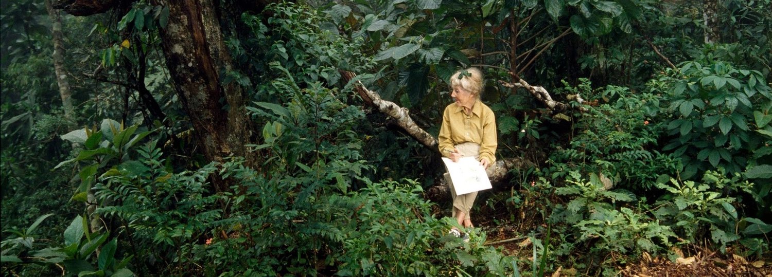 MARGARET MEE AND THE MOONFLOWER ( Margaret Mee e a Flor da Lua, Malu de Martino, Brazil, 2012, 78 min. In Portuguese and English with English subtitles) Discover the work and legacy of botanical illustrator Margaret Mee in Malu de Martino’s documentary Margaret Mee and the Moonflower . The British-born artist spent more than 36 years in Brazil, completed fifteen expeditions into the Amazon rainforest, and produced over 400 illustrations of Brazilian flora, works that are now central to contemporary botanical science research. Drawing on her diaries, interviews, and narratives, the film reveals a tireless advocate for the preservation of Brazilian rainforests and an artist not afraid to command her craft in defense of environmental conservation. Saturday, August 31, 2pm