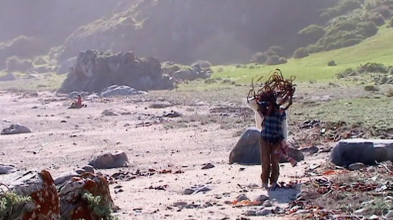 Night Vision by Carolina Moscoso