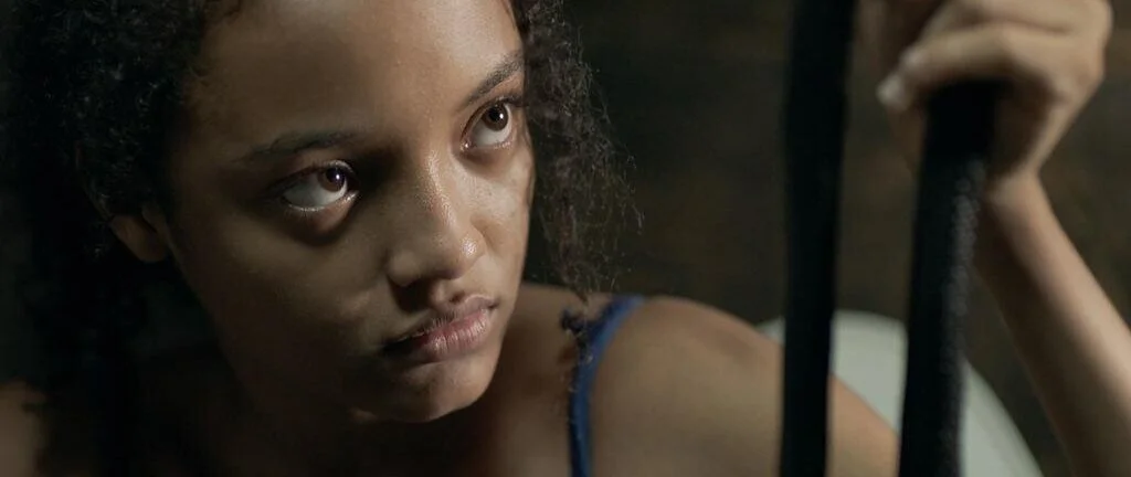 COSTA RICA: LAND OF ASHESCosta Rica has selected Land of Ashes / Ceniza negra, the debut feature by Sofía Quirós Ubeda to represent the country in the competition for best international feature film at the 2021 Oscars, becoming the ninth Costa Rican…