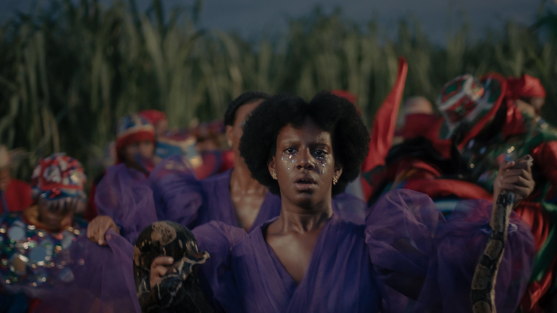  Latin American Films at the   33rd African Diaspora International Film Festival   November 24 — December 10   