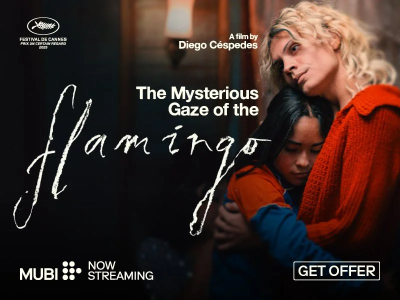 THE MYSTERIOUS GAZE OF THE FLAMINGO: Now streaming on MUBI.

Set in a remote mining town in 1980s Chile, Diego C&eacute;spedes&rsquo;s ravishing debut offers an unflinching exploration of love and fear as a mysterious illness grips the community. 

W