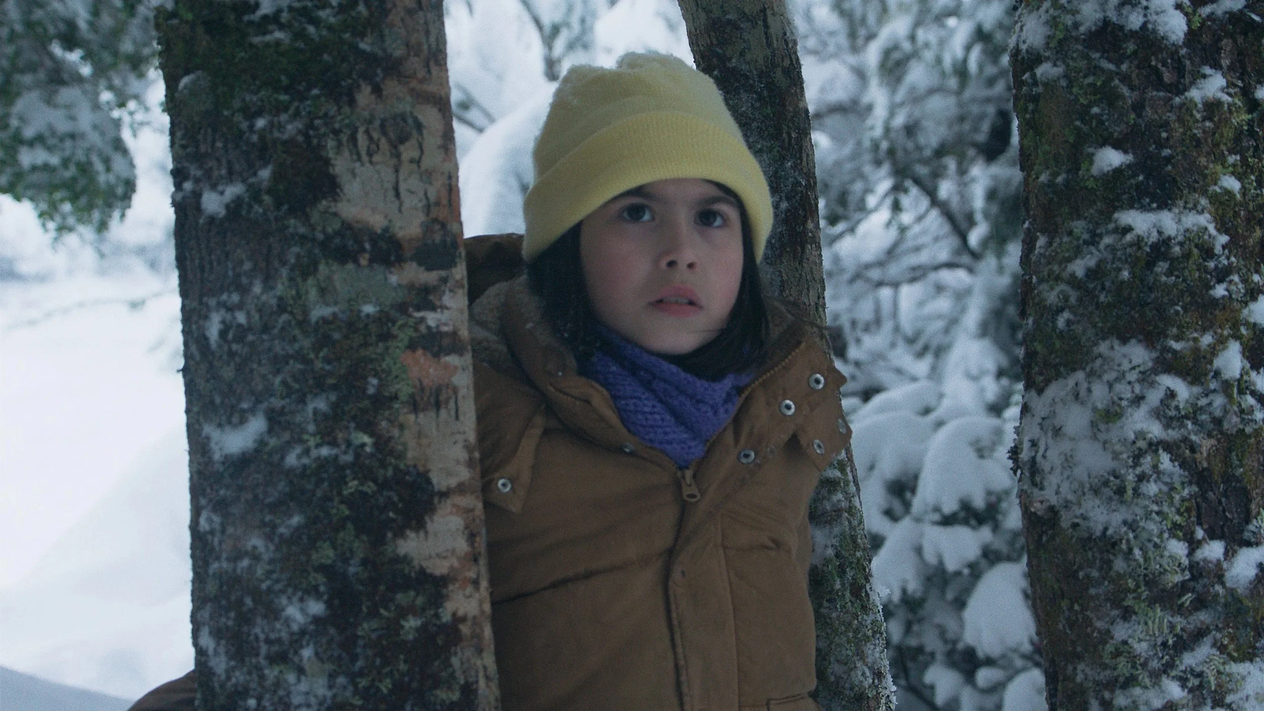 🇨🇱 OSCARS: Chile has selected Manuela Martelli&rsquo;s THE MELTDOWN / EL DESHIELOas its official submission for Best International Feature Film at the 99th Academy Awards.

The mystery drama, Martelli&rsquo;s second feature following her acclaimed 