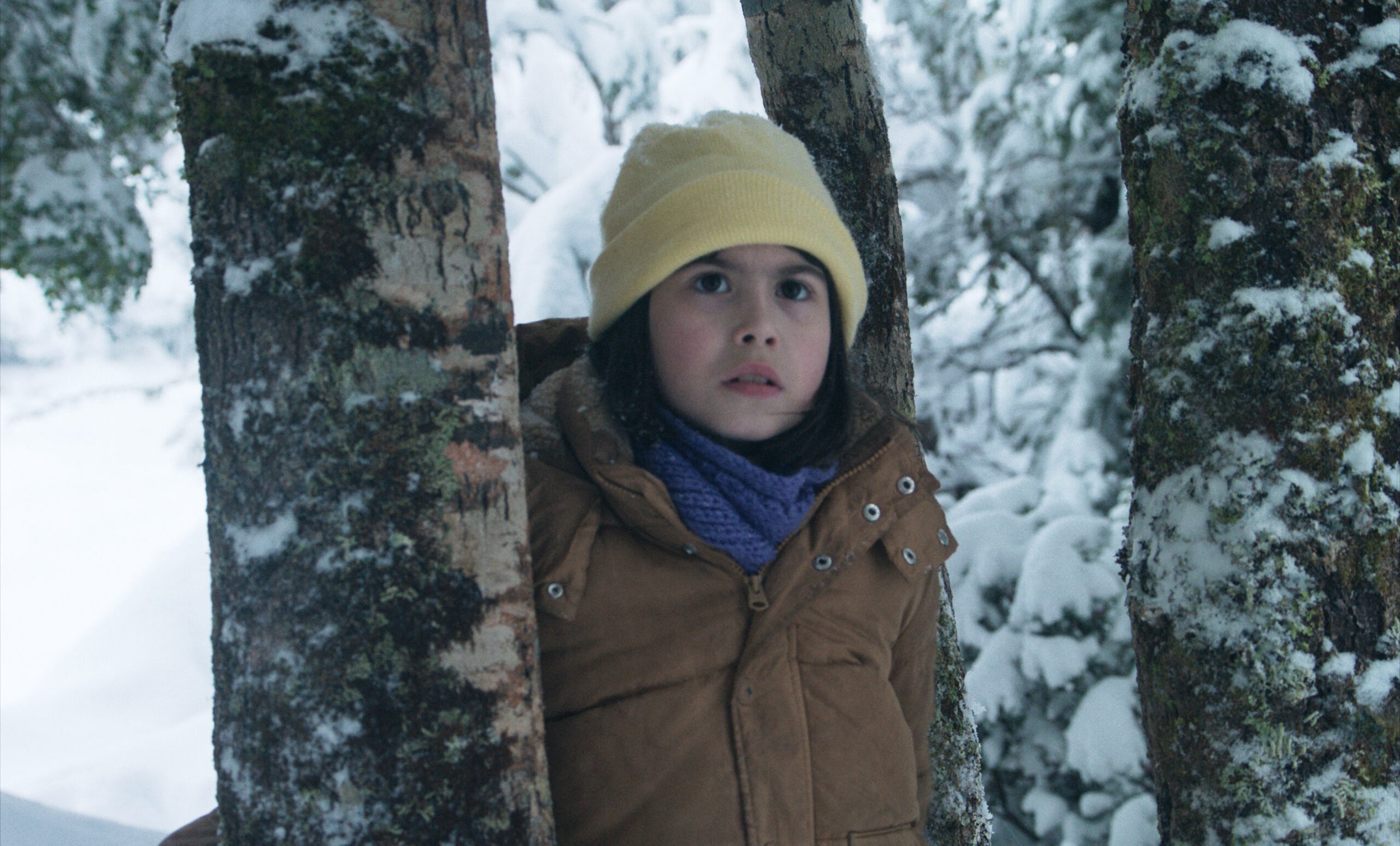 Sneak Preview of Chile's Oscar submission + Q&amp;A with director Manuela Martelli!

Don't miss a special sneak preview of THE MELTDOWN / EL DESHIELO, the acclaimed new film by Chilean director Manuela Martelli (CHILE &rsquo;76), followed by an in-pe