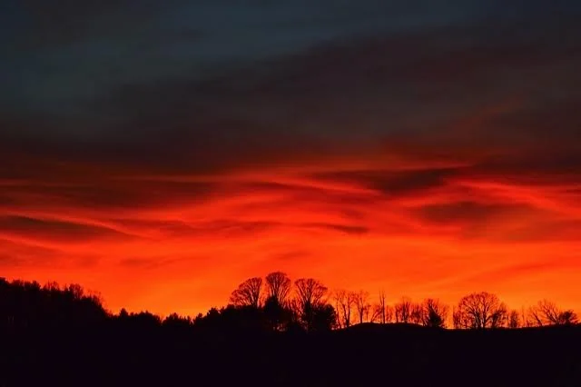 theview03.jpg