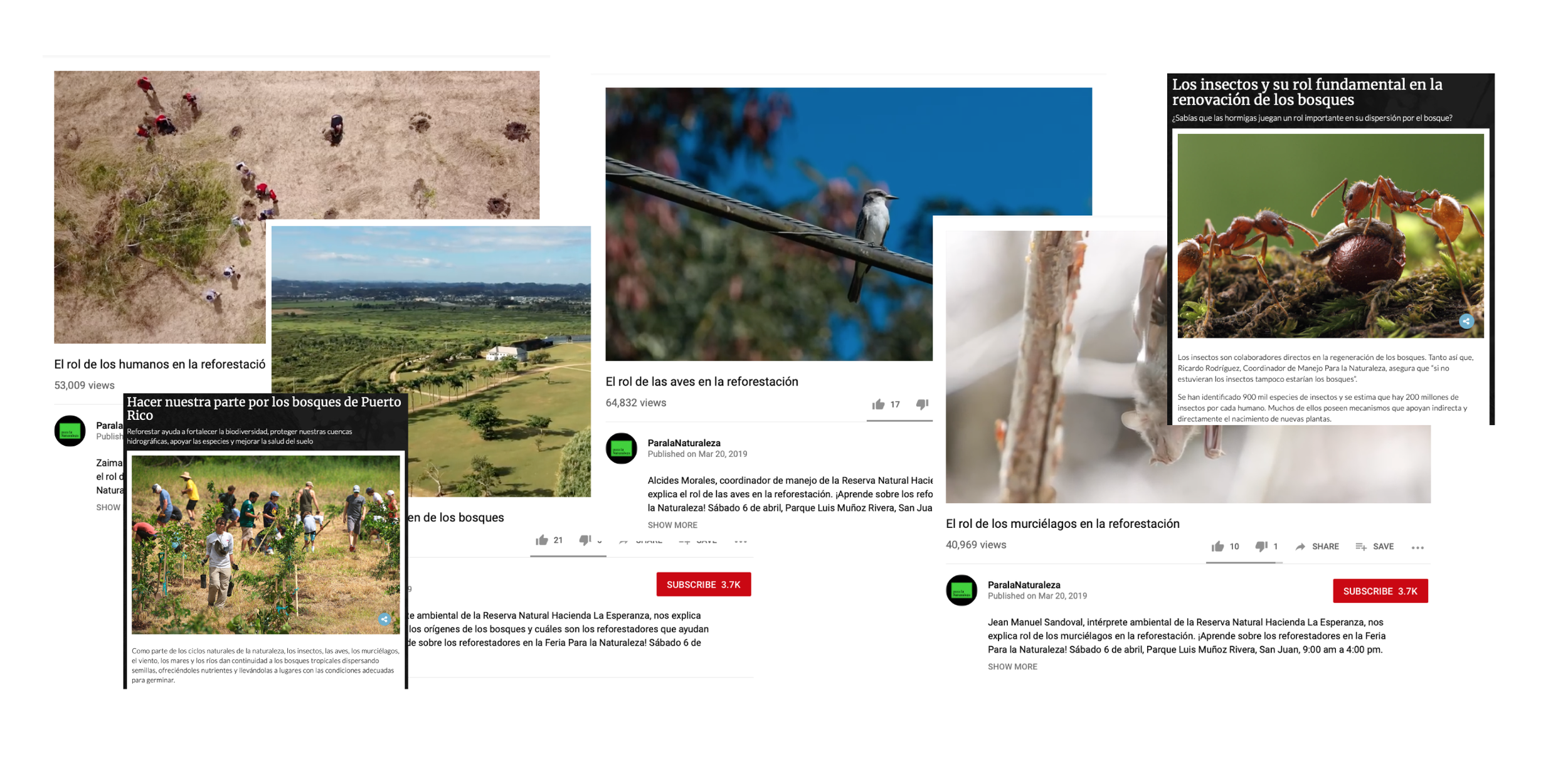 Some of the campaign content