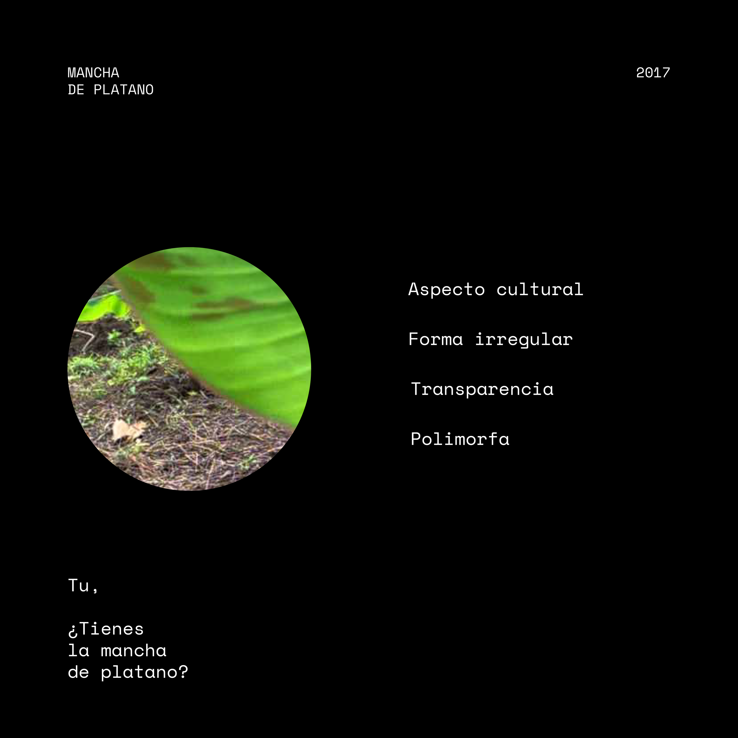 Pasteles_Tere_redes_sociales-09.png