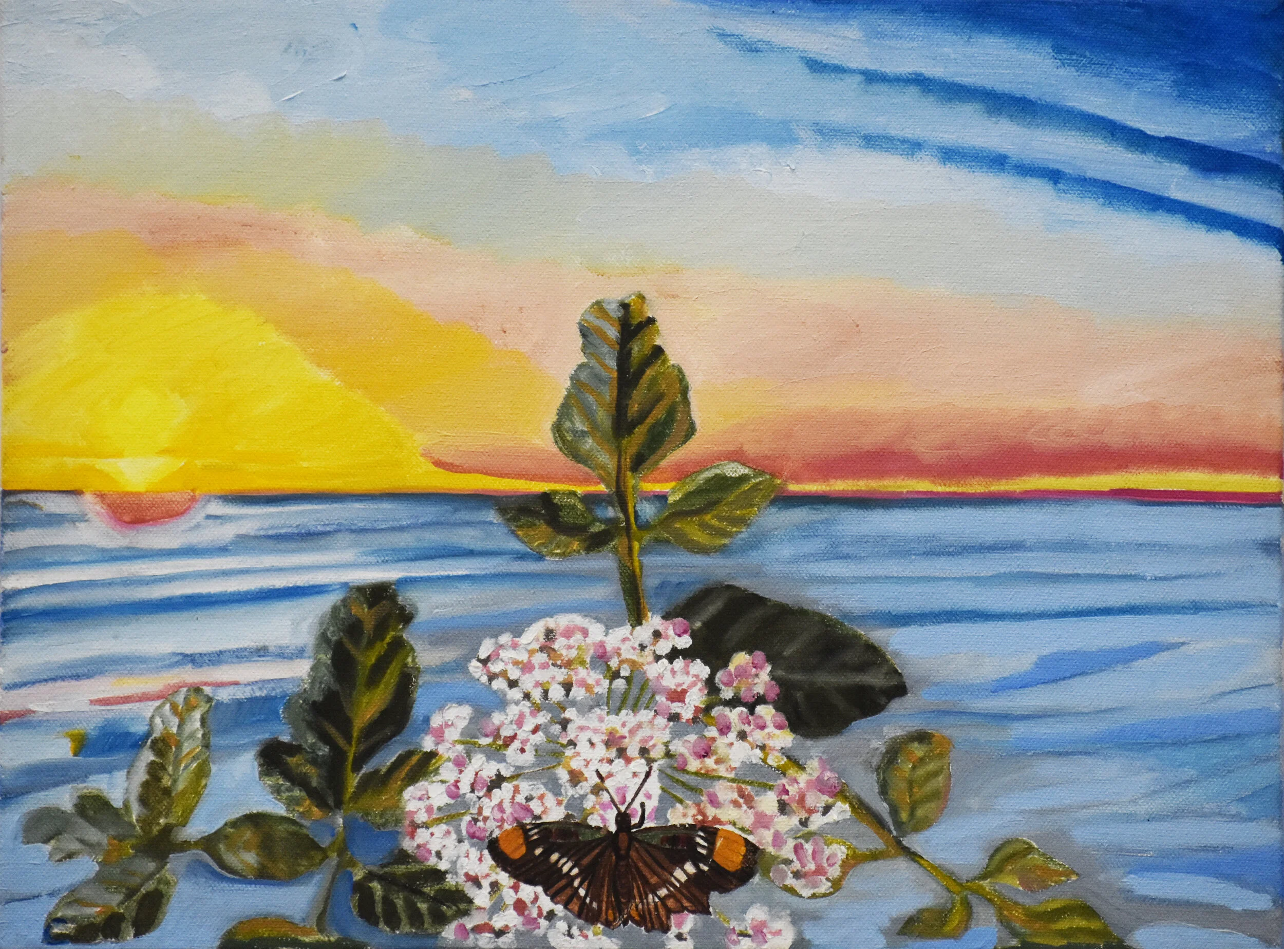 BUTTERFLY_COAST.jpg