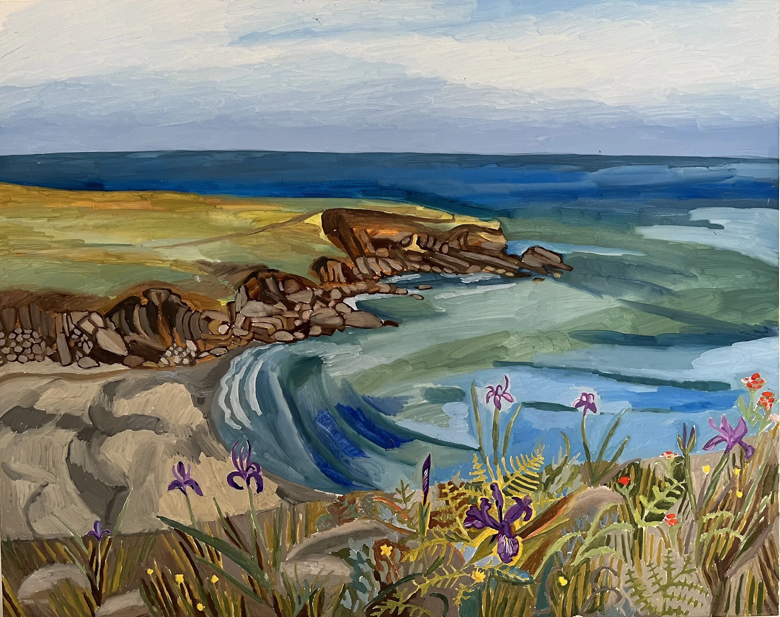 SALT POINT2.jpg