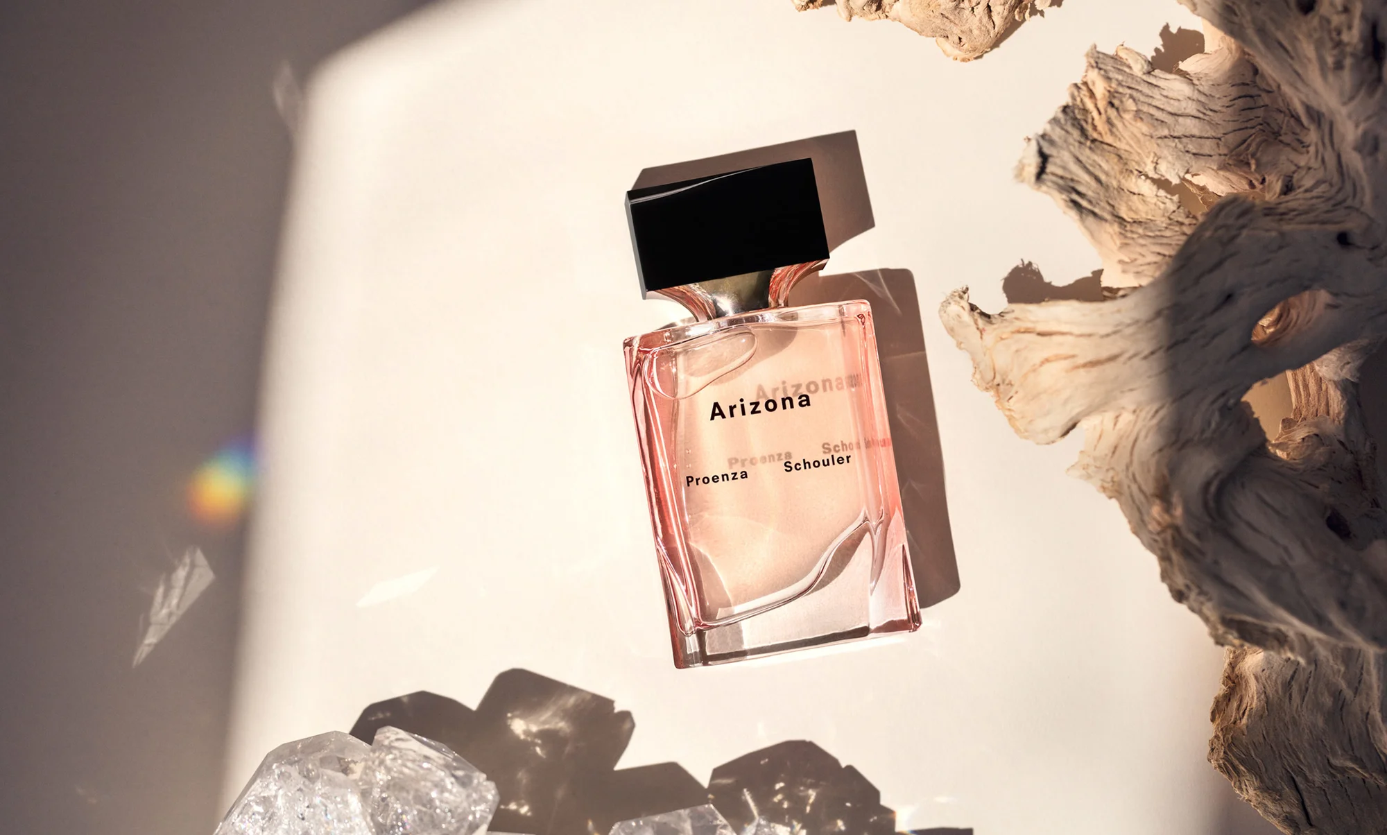  Lauren Coleman / Proenza Schouler  for VS+Company 