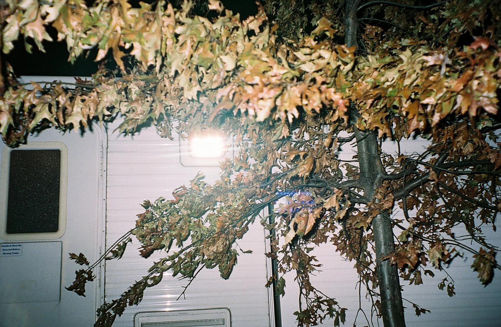 20171204 PORTRA 01.Jpg