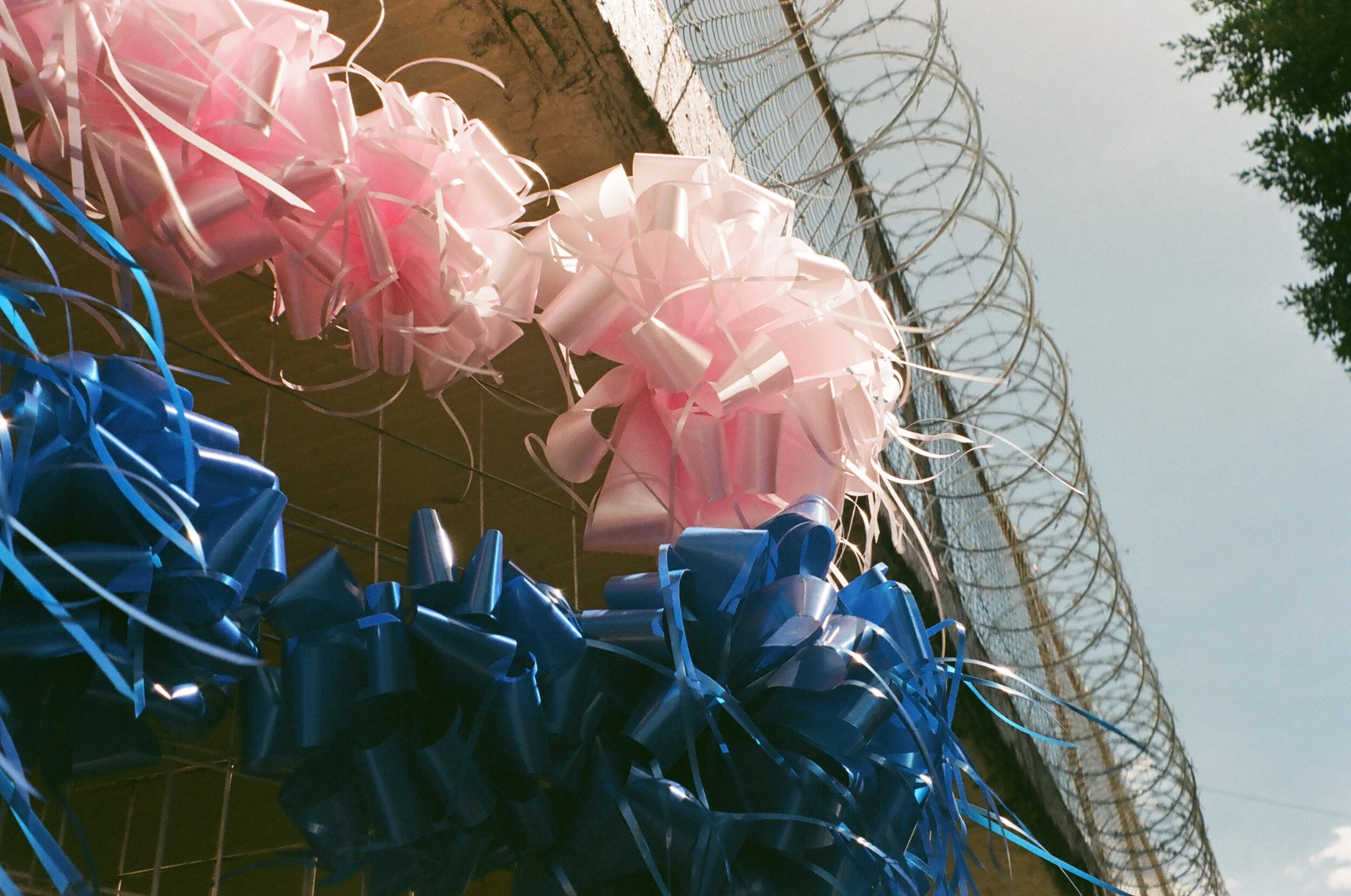 20191026 2646 EFINITI 31.JPG