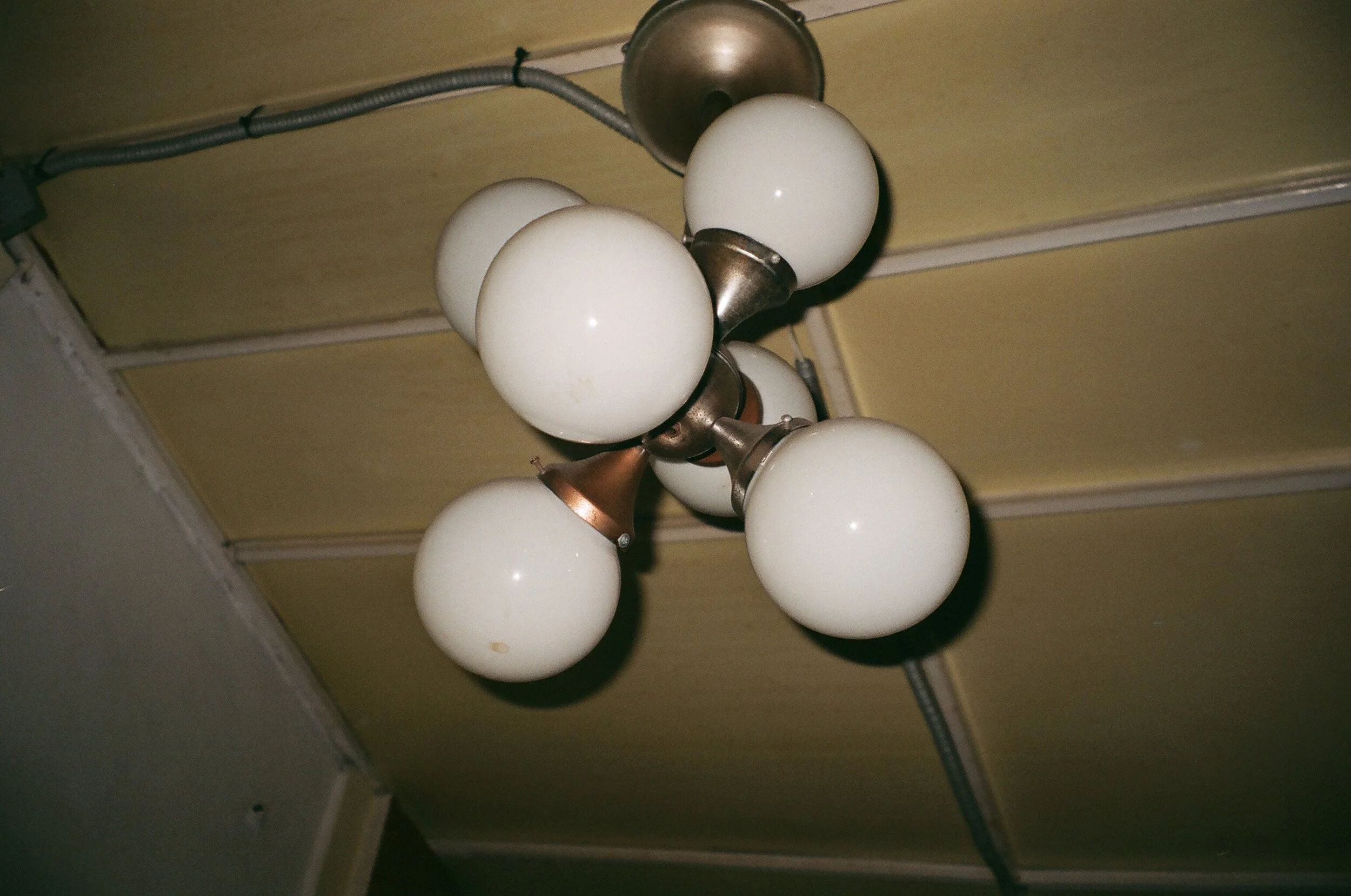 20191026 2645 EFINITI 02.JPG