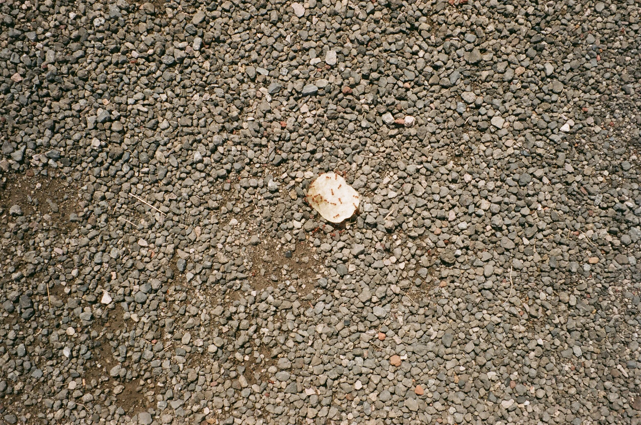 20191026 2645 EFINITI 31.JPG