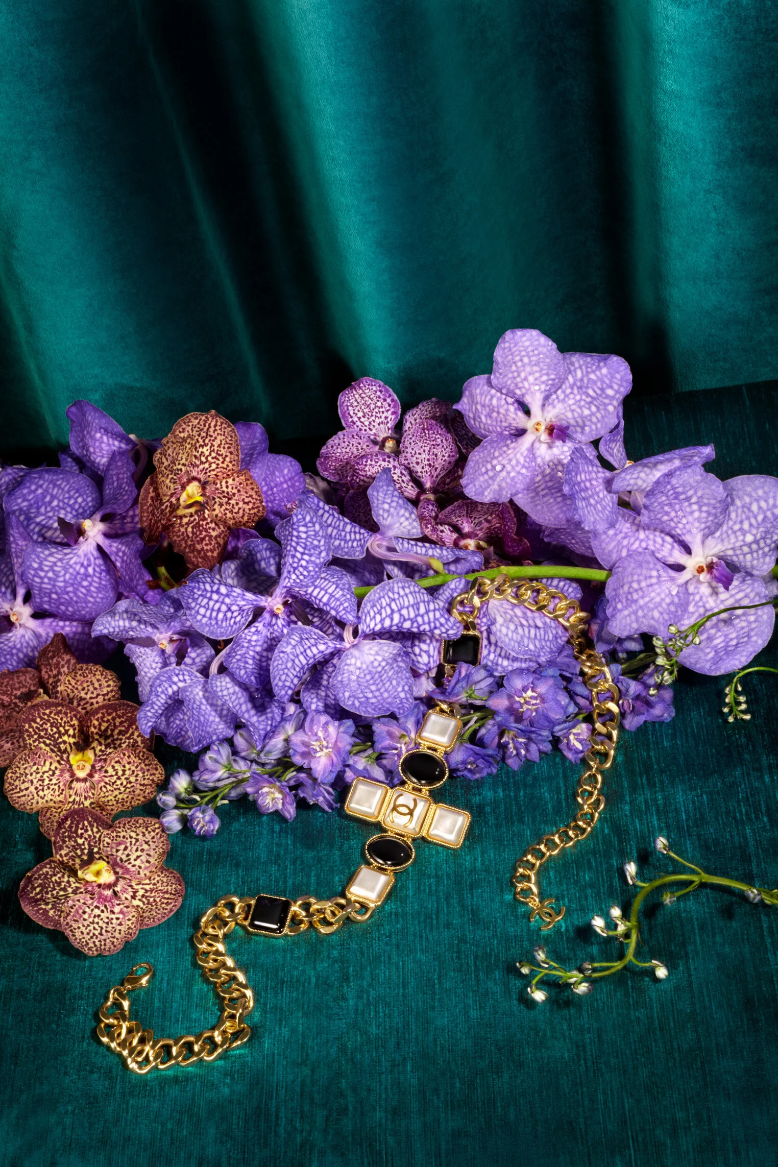  Naila Ruechel / Bazaar  VS+Company 