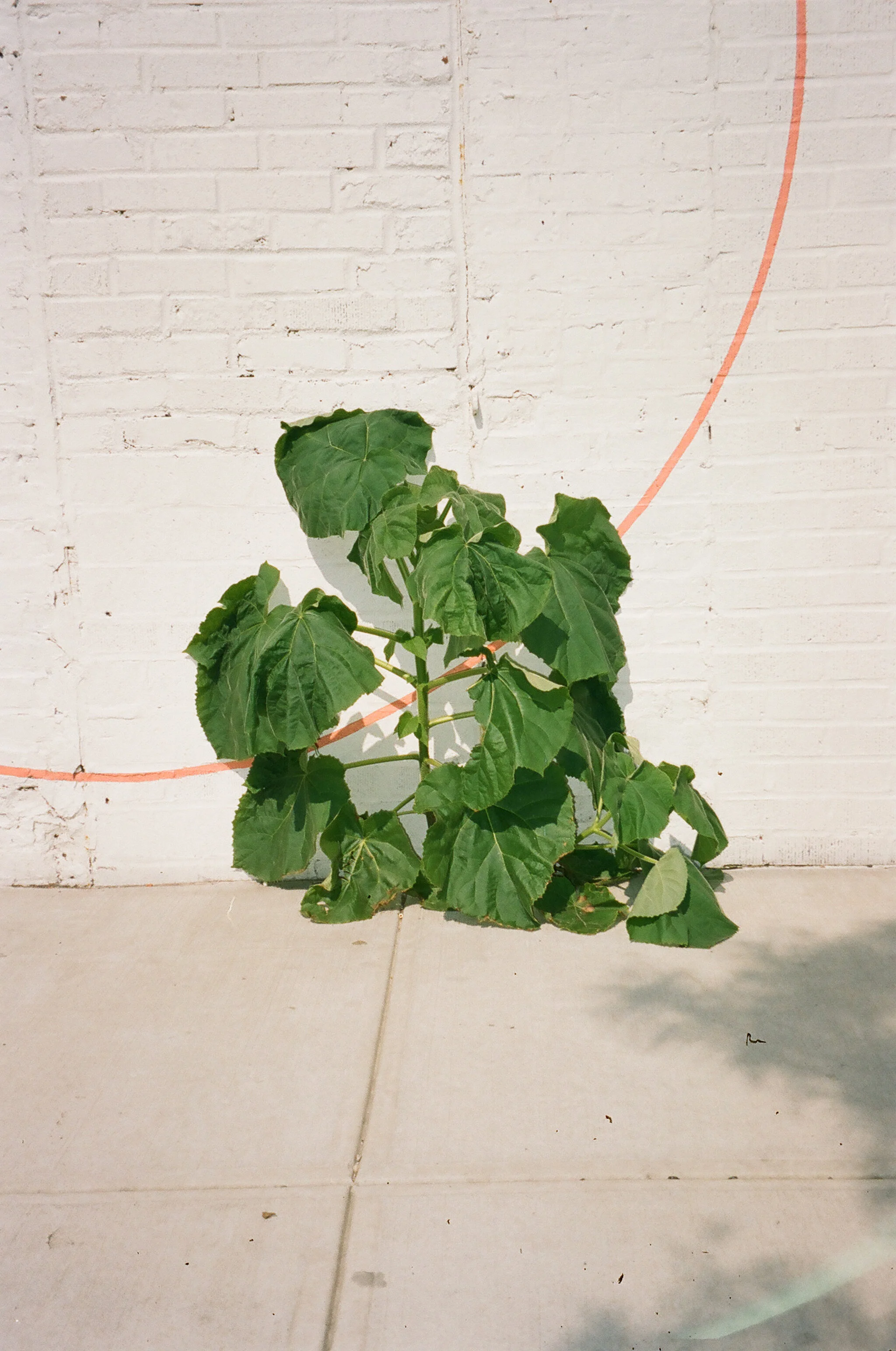 20201005 2332 PORTRA 32.jpg