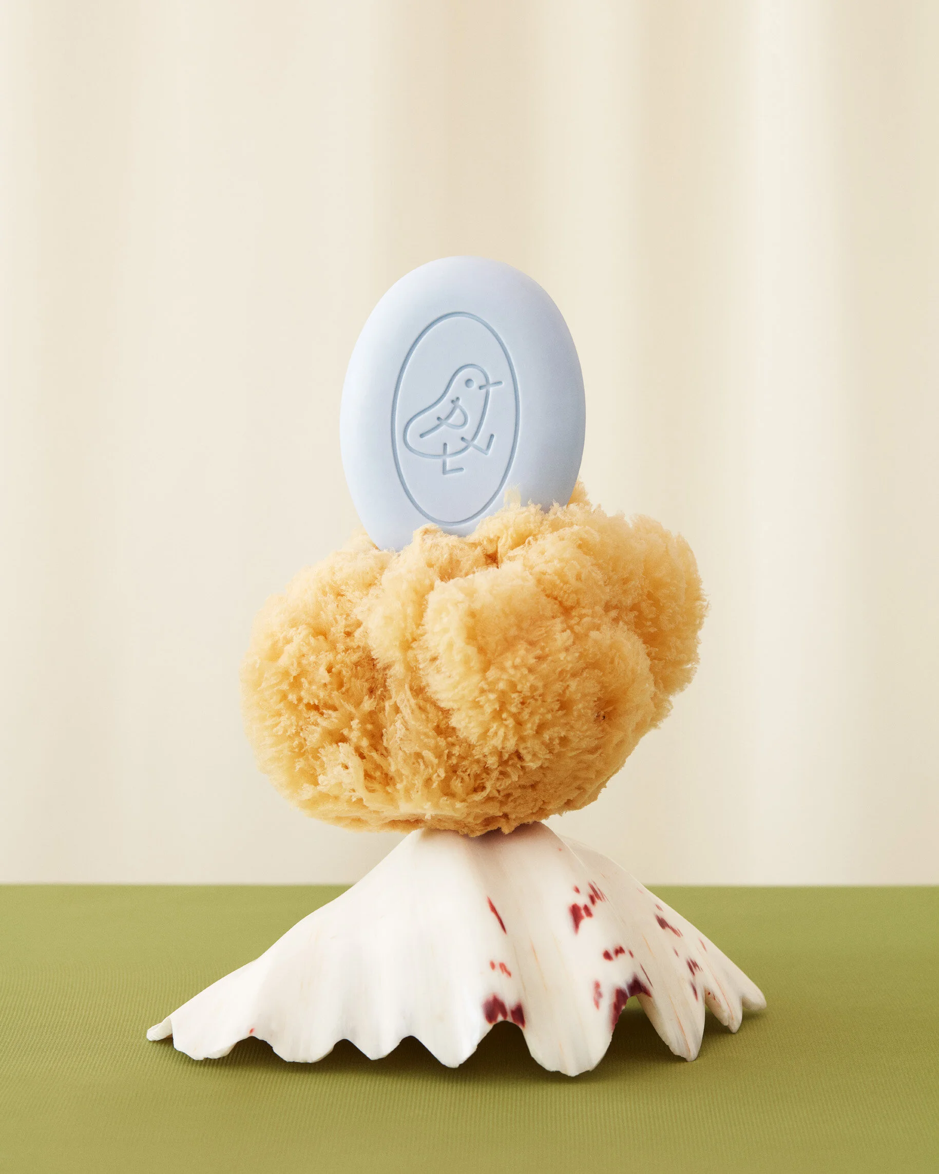  Lauren Coleman / Palorama   for VS+Company 