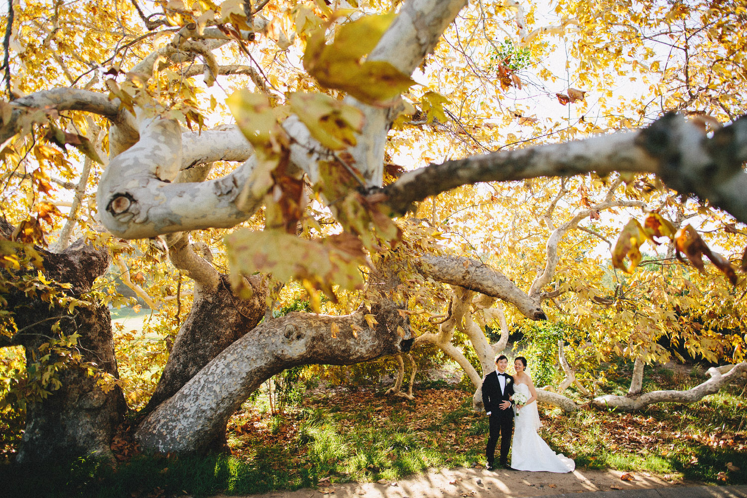 shady_canyon_golf_club_wedding_24.jpg