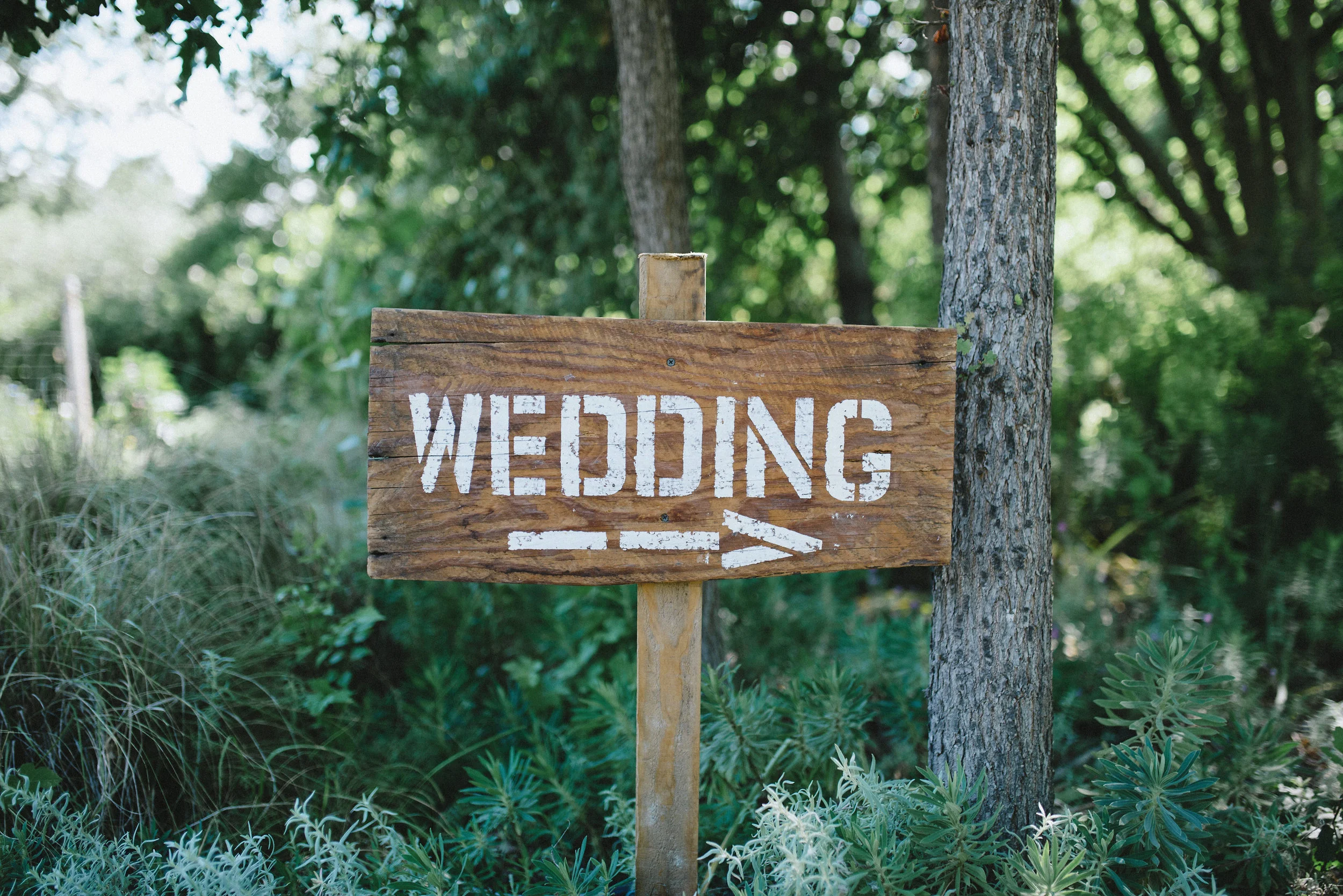 Campovida-wedding-48.jpg