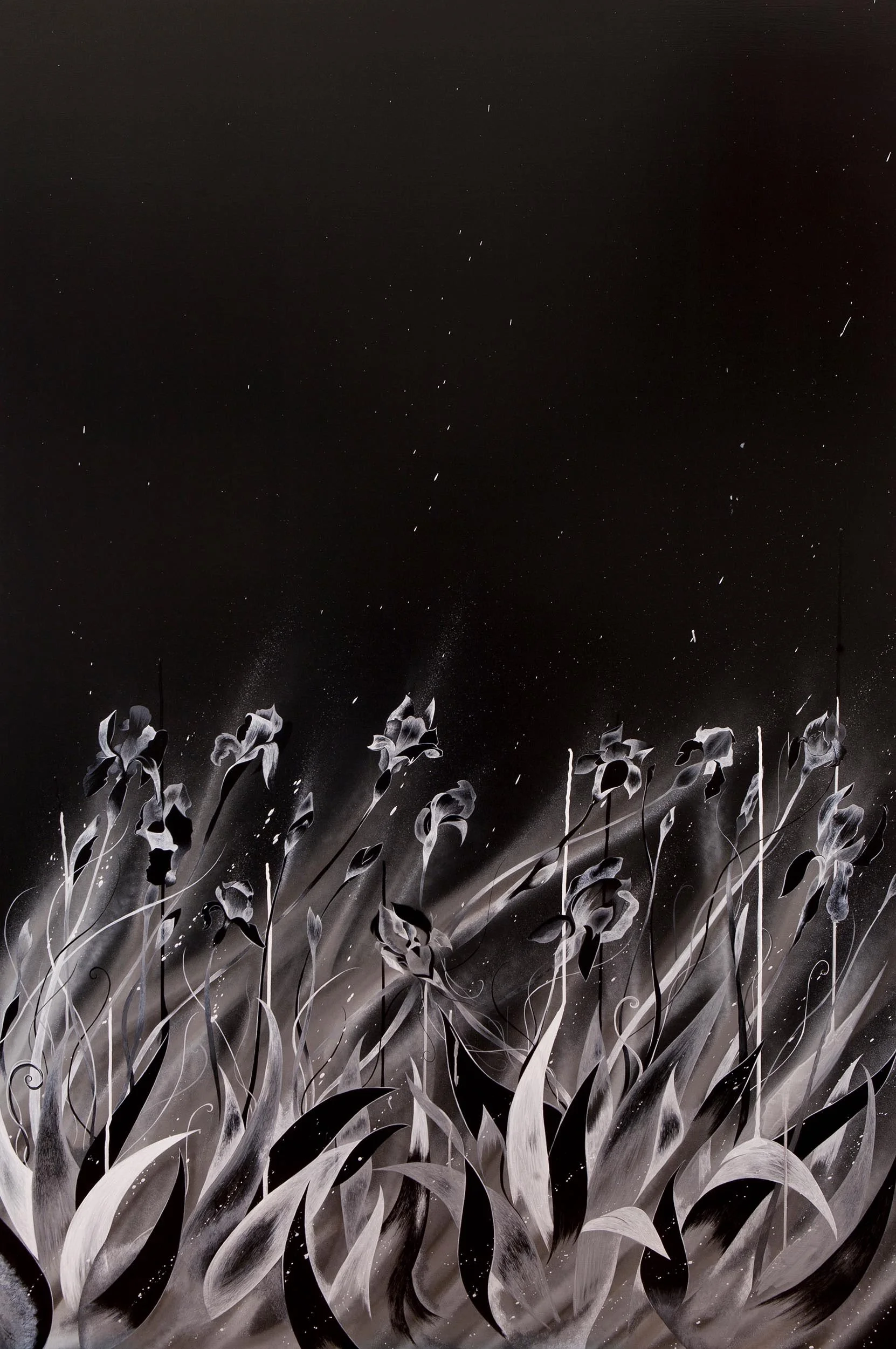 star crossed-dark-nas.jpg