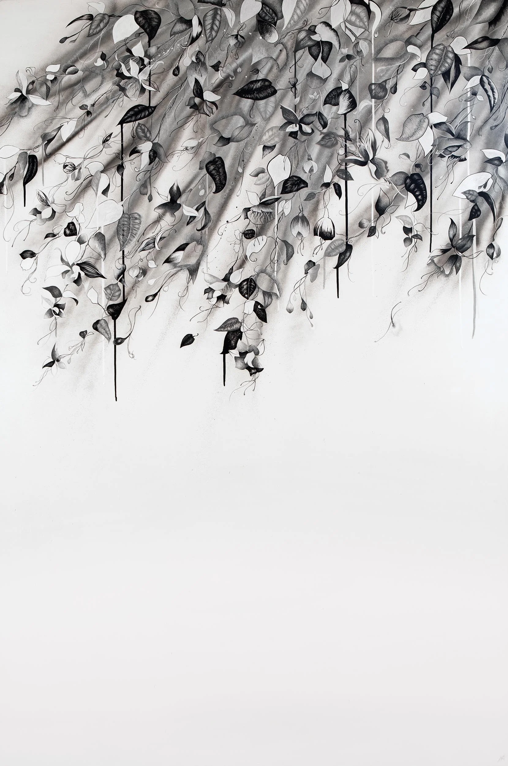 star crossed-light-nas.jpg