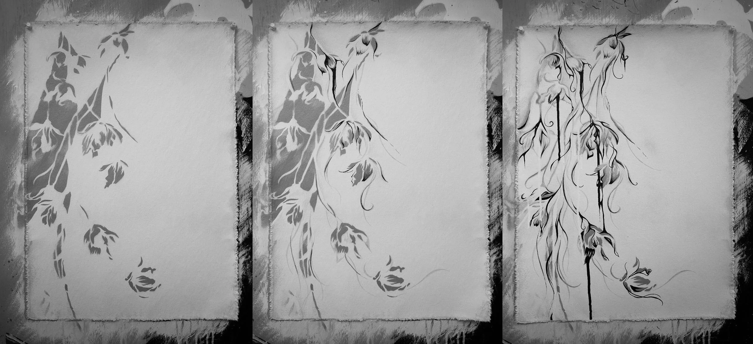 canvas dendrobium-nas.jpg