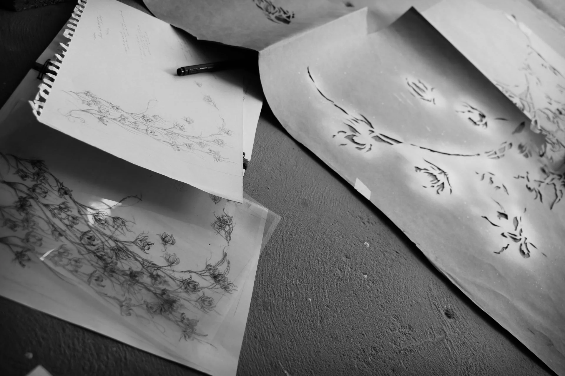 dendrobium progress-nas.jpg