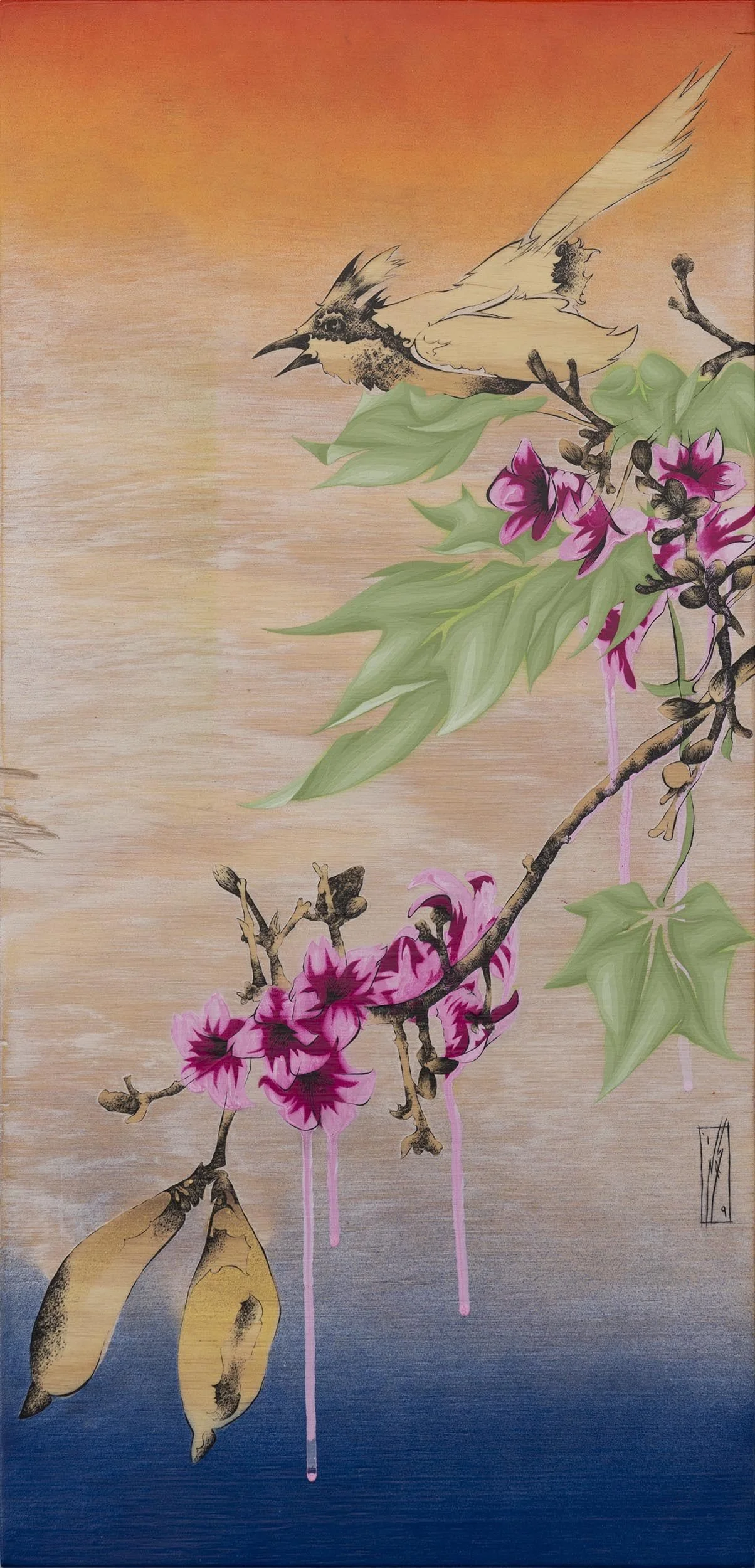 nas-lacebark and whipbird sunset.jpg