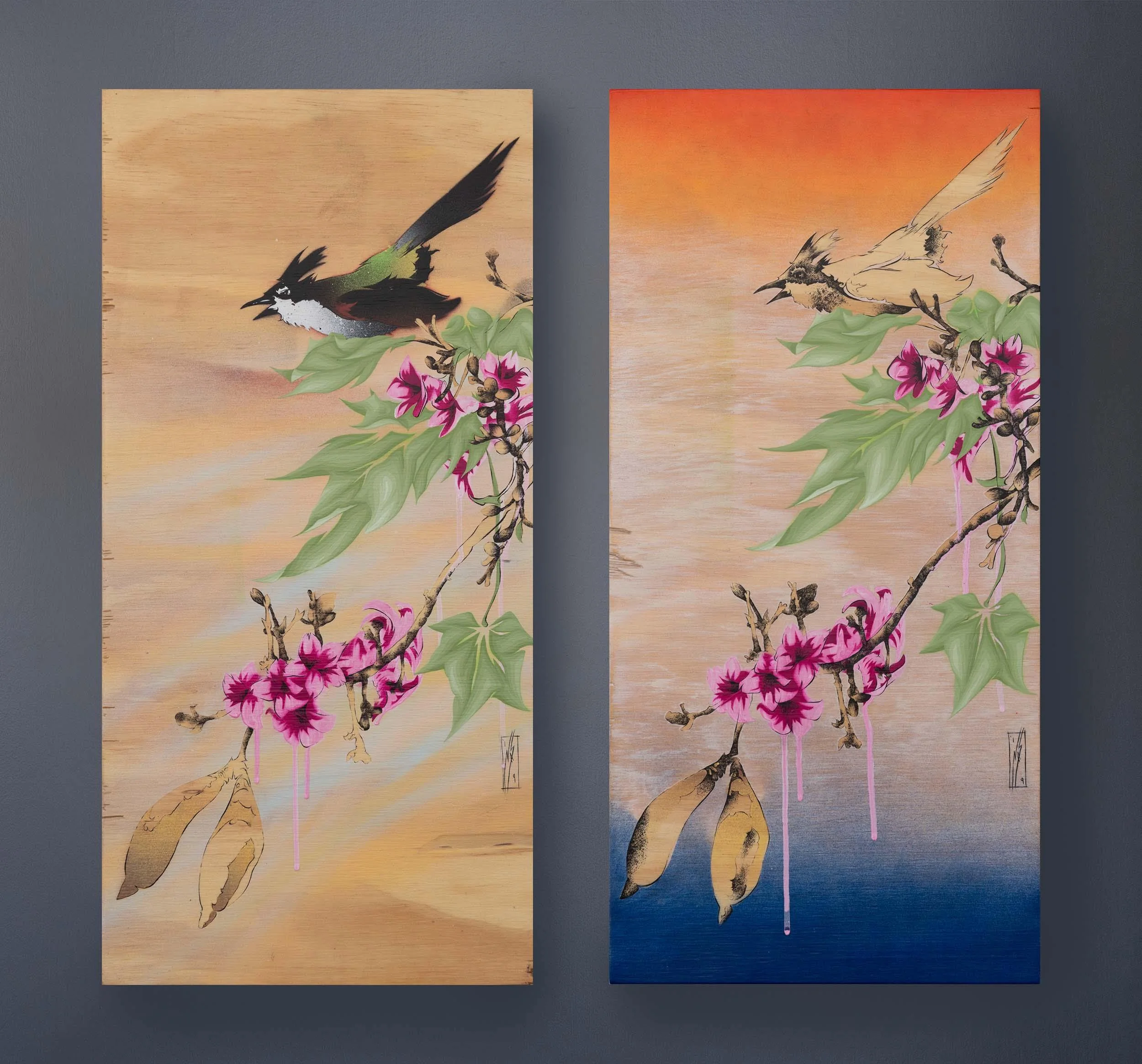nas-whipbird-lacebark double.jpg