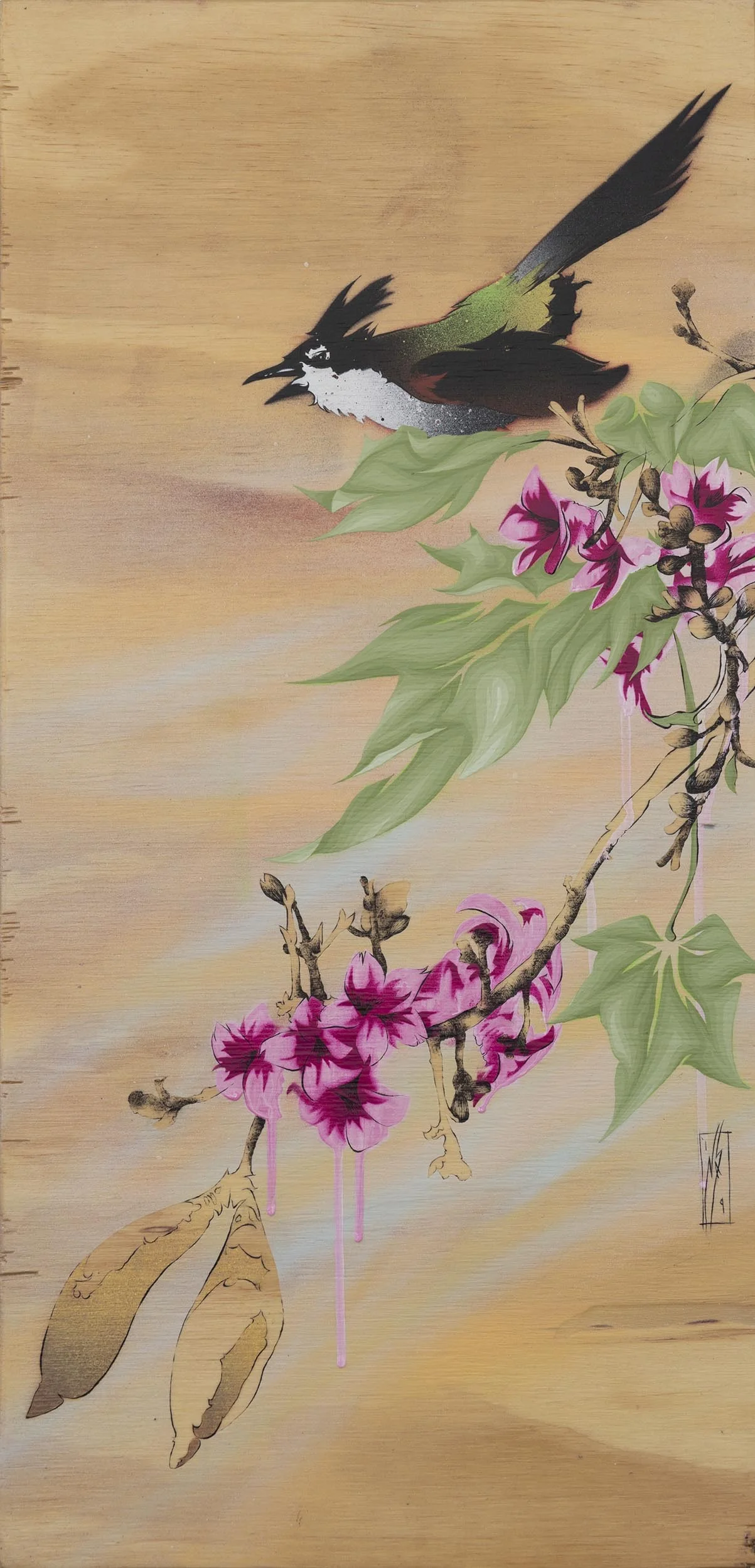 nas-lacebark and whipbird.jpg