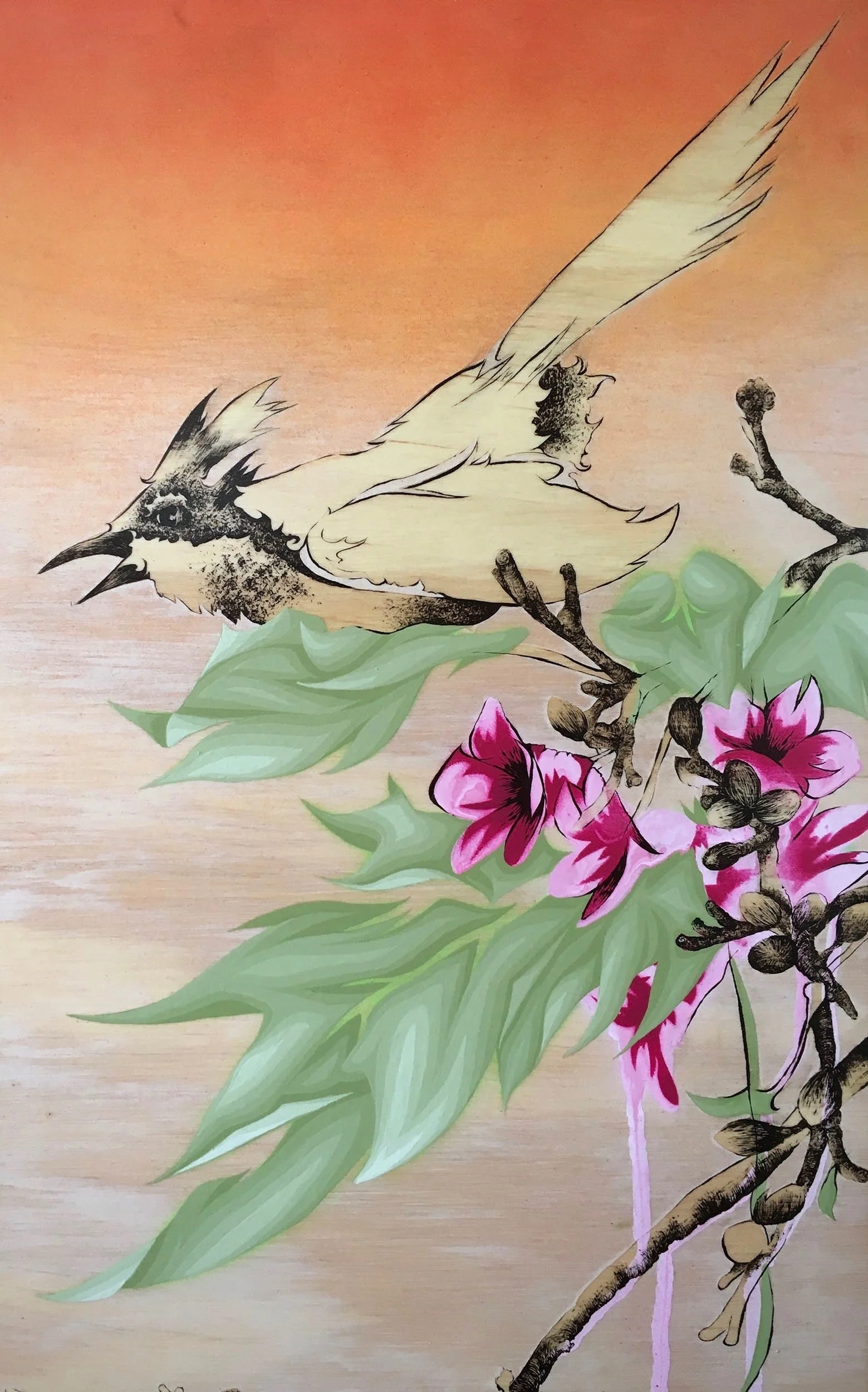 lacebark and whipbitd sunset banner-nas.jpg