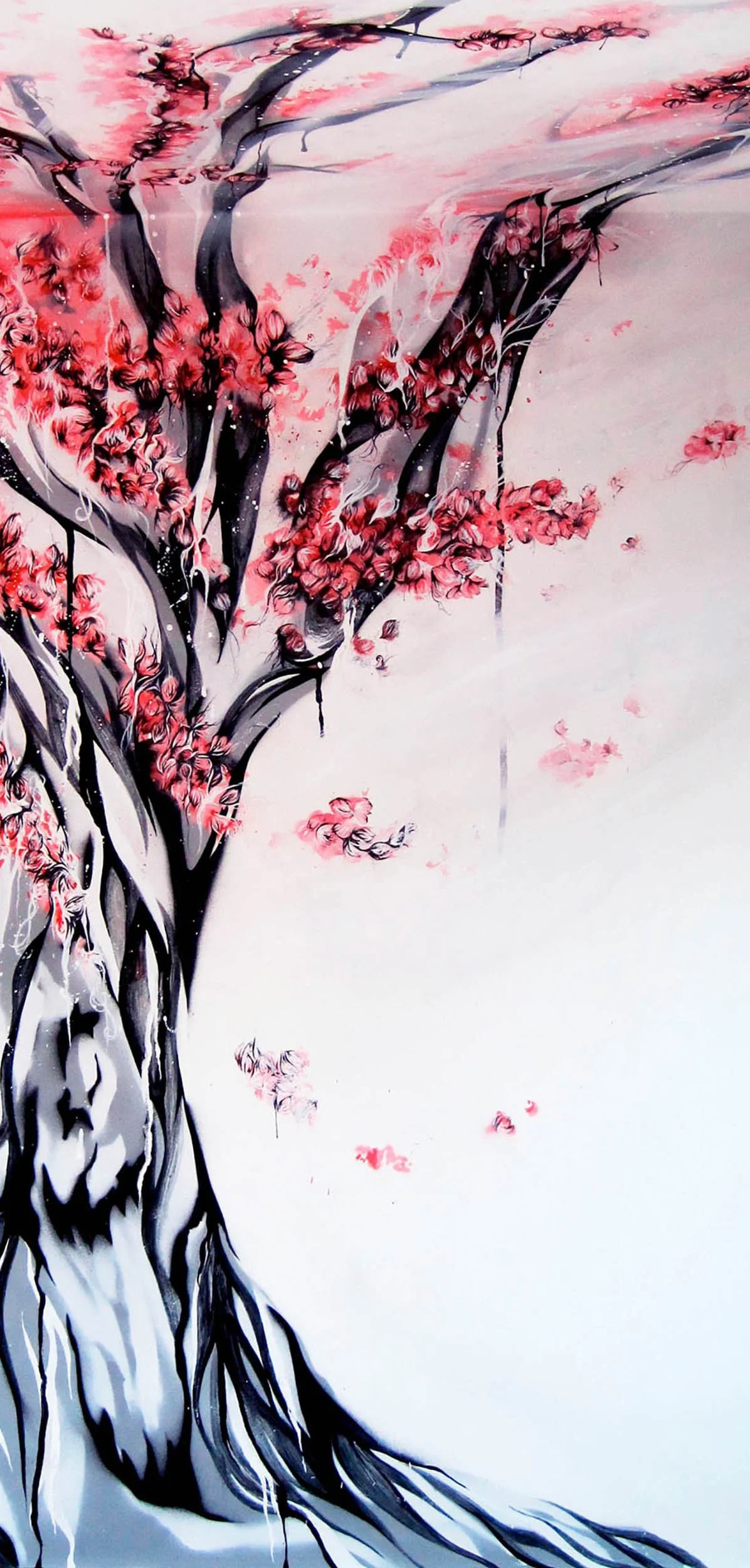 cherry blossom-banner-nas.jpg