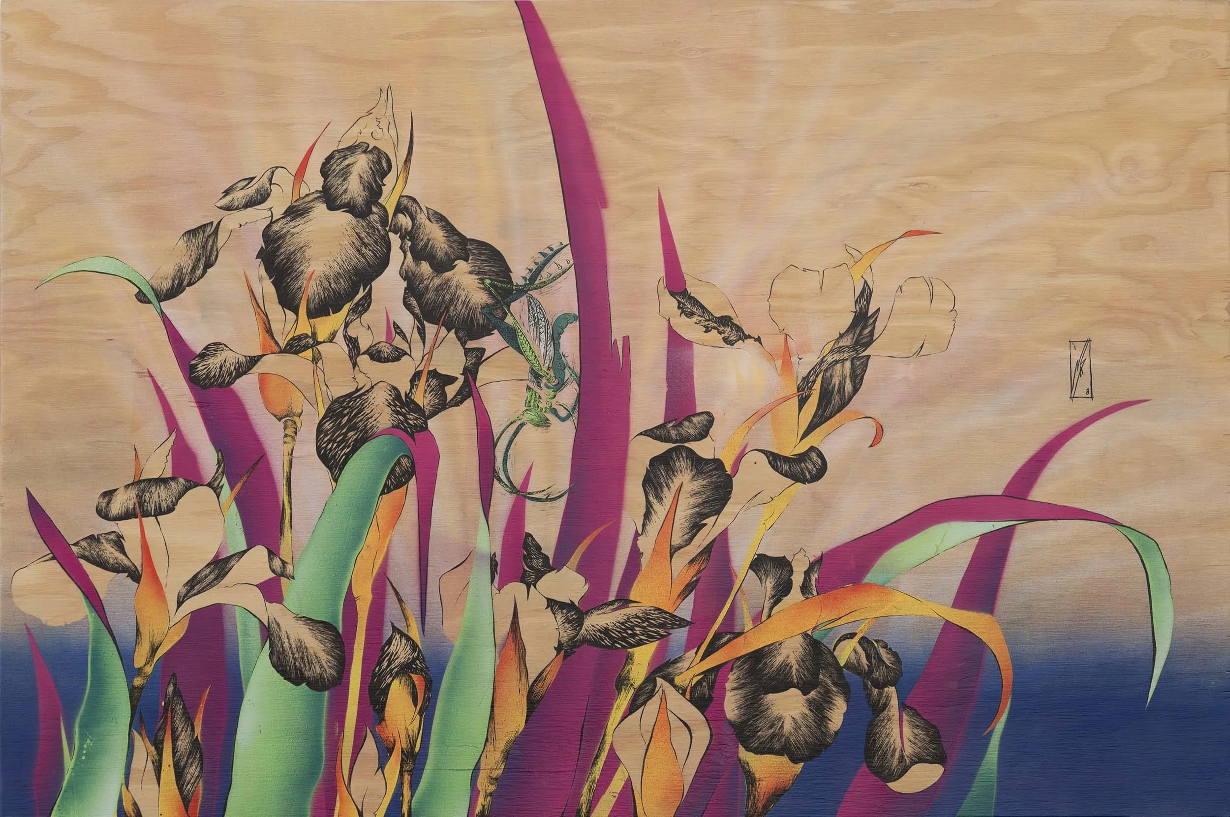 nas-iris and grasshopper.jpg