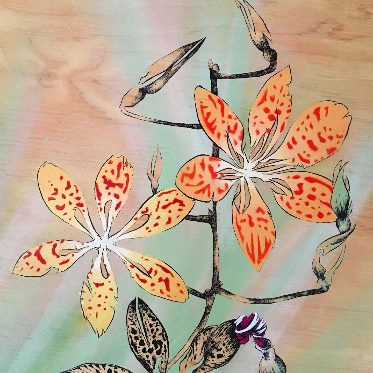 blackberry lilies detail 1.jpg