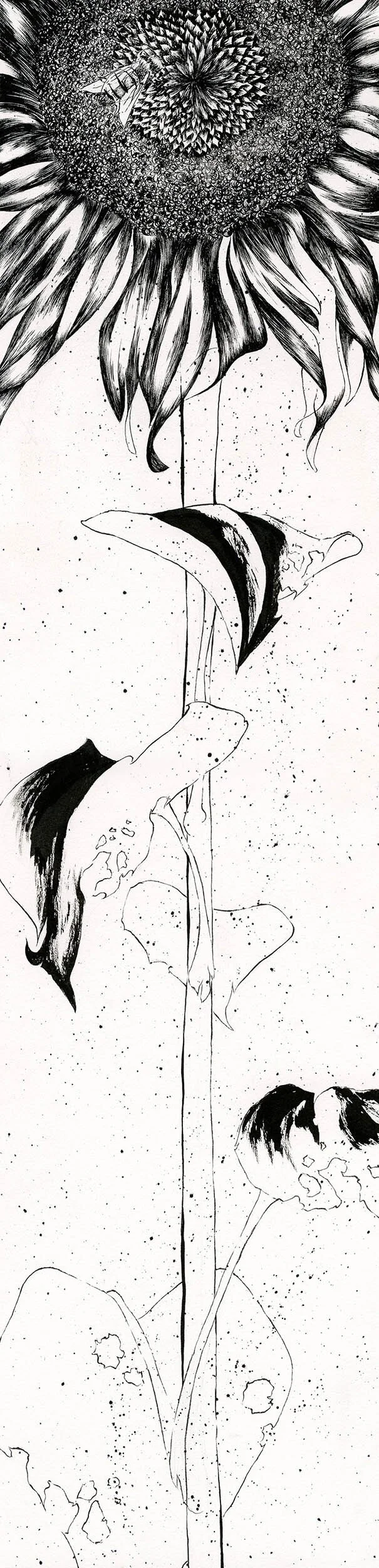 10 stems-sunflower.jpg