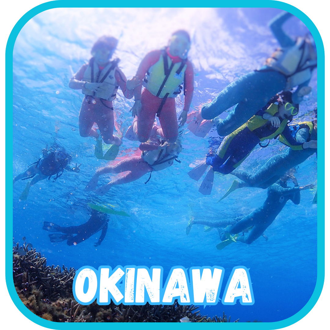 沖縄の英語サマーキャンプでシュノーケリングを楽しむ子供たち