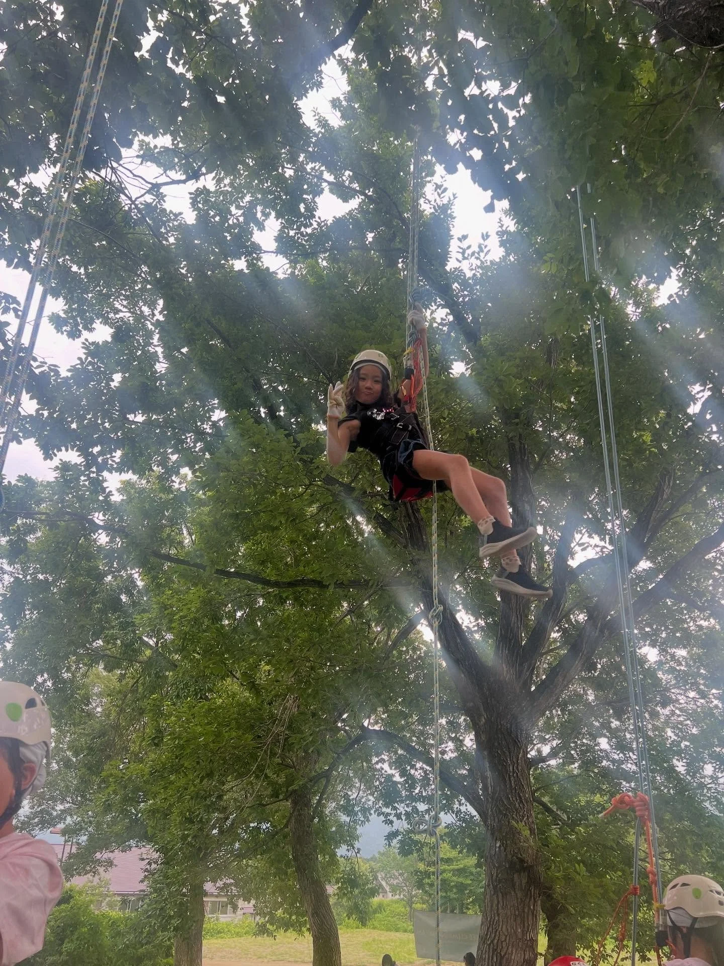 A wonderful day of tree climbing with the kids at our Myoko camp. The weather was nice to us and gave us an amazing experience. We had a lot of natural climbing monkeys! #tree #treeclimbers #summer #summercamp #adventureenglishcamp #summercampinjapan
