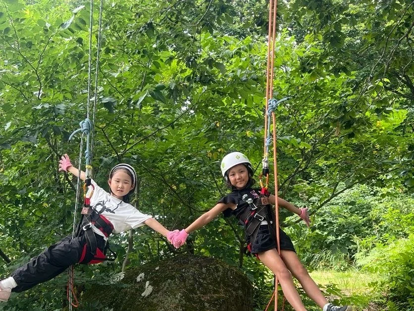 Tree climbing at Summer Camp