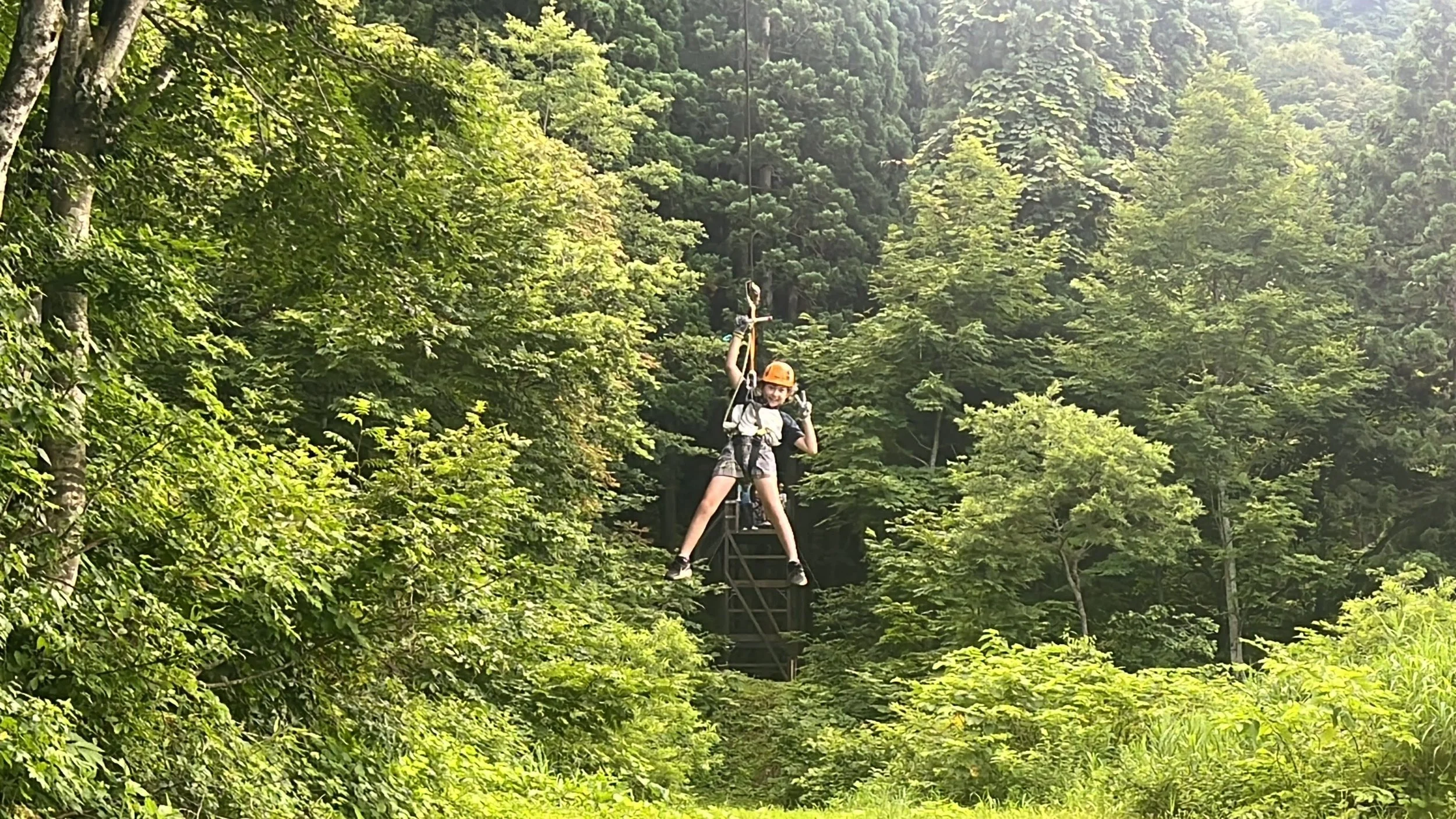 Kids get to do an amazing tree top zipline course in Niigata