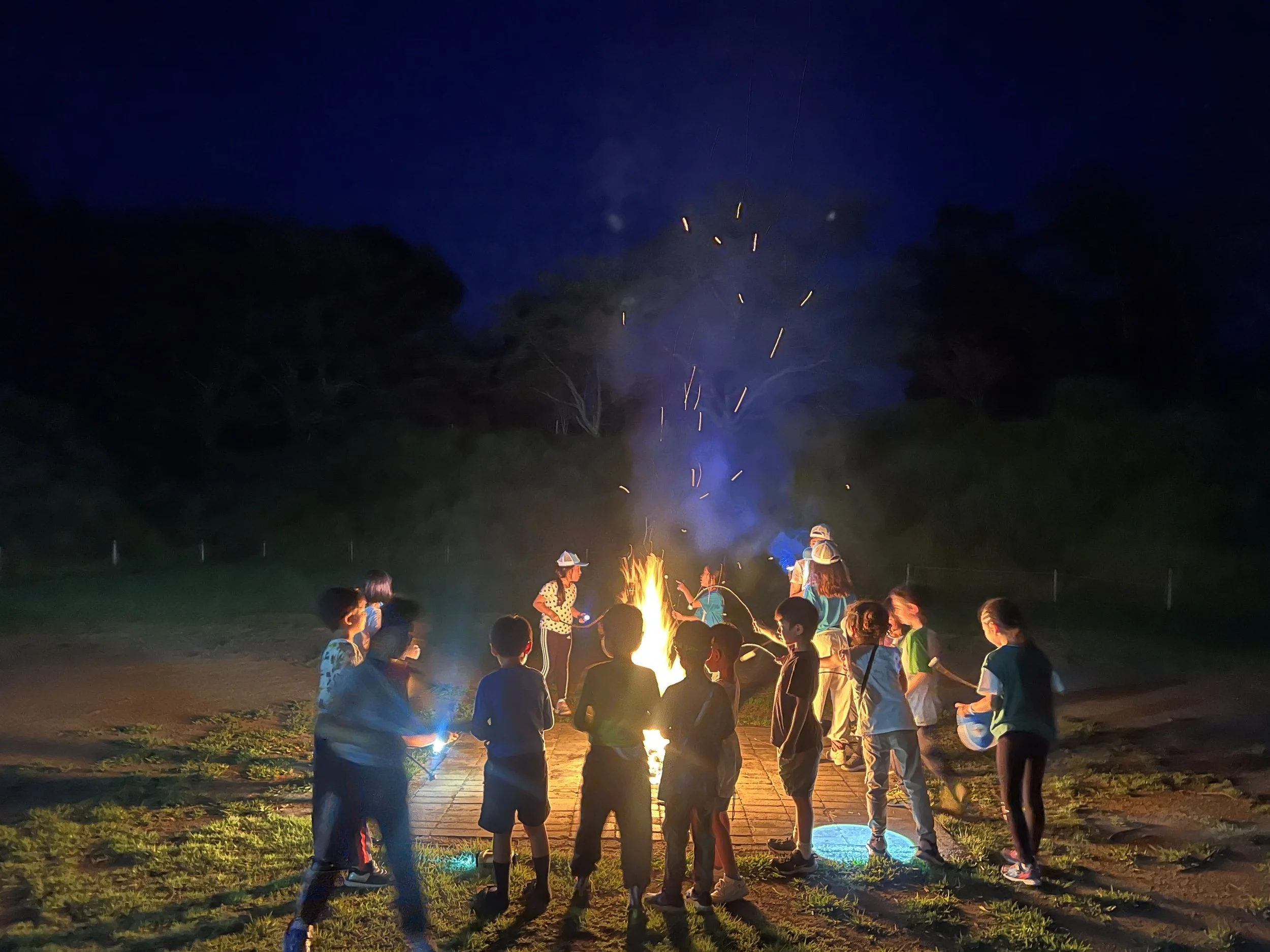 kids singing and dancing around a campfire at Summer Camp
