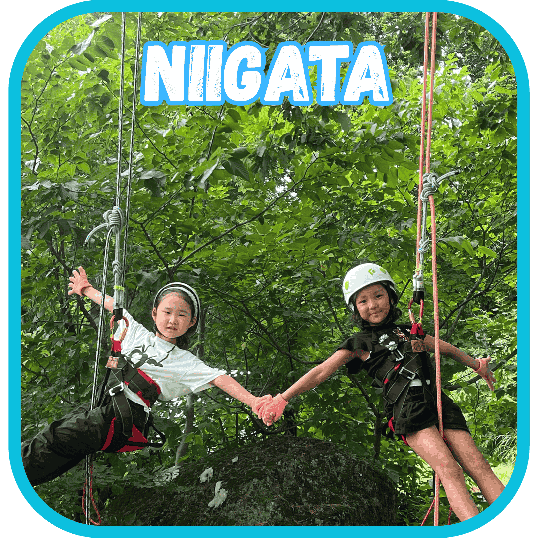 新潟の英語サマーキャンプでツリートップロープコースに挑戦する子供たち