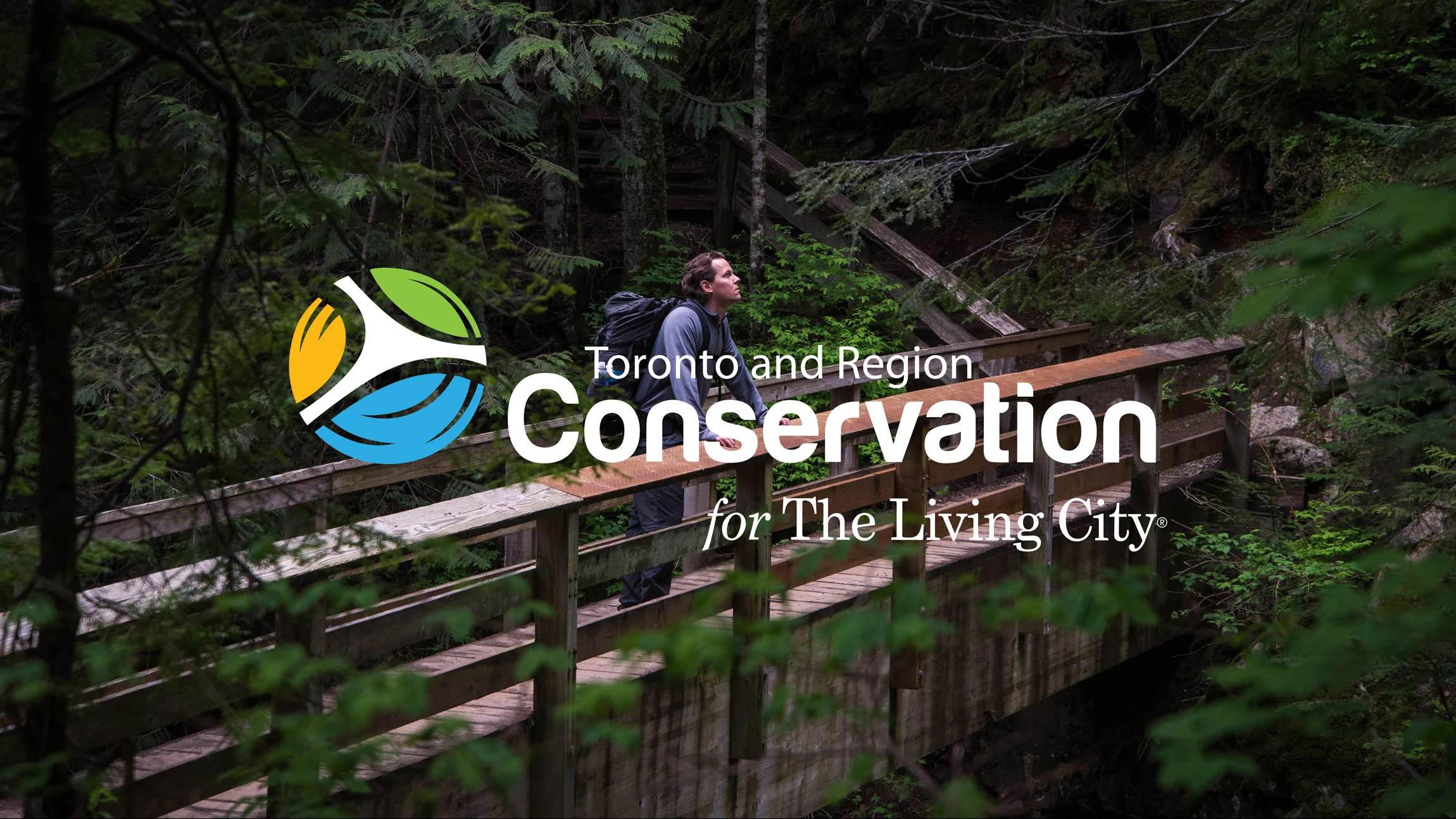 Client TRCA_Website Design thumbnail.jpg